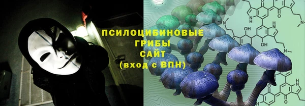 метадон Осташков