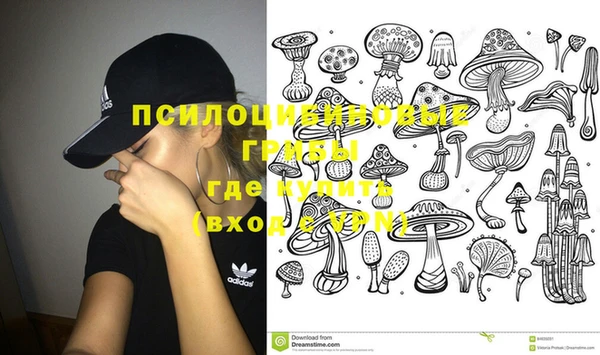 ПСИЛОЦИБИНОВЫЕ ГРИБЫ Балахна