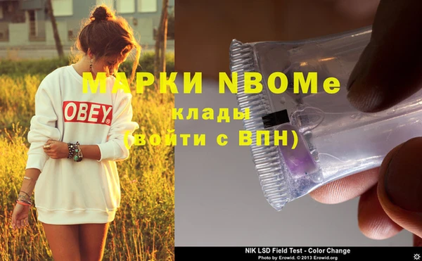 ПСИЛОЦИБИНОВЫЕ ГРИБЫ Балахна