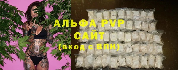 ПСИЛОЦИБИНОВЫЕ ГРИБЫ Балахна