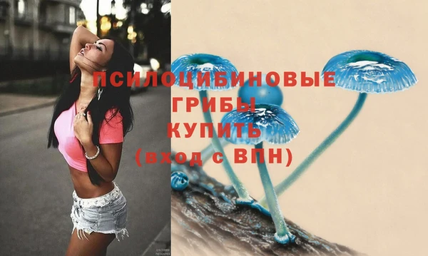 ПСИЛОЦИБИНОВЫЕ ГРИБЫ Балахна