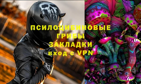 ГАЛЛЮЦИНОГЕННЫЕ ГРИБЫ Балабаново
