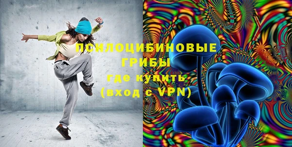ПСИЛОЦИБИНОВЫЕ ГРИБЫ Балахна