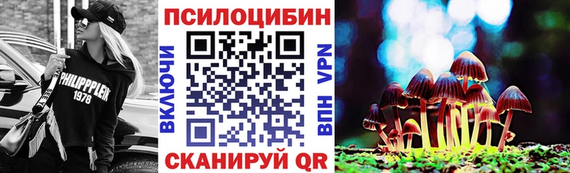 Галлюциногенные грибы GOLDEN TEACHER  закладки  площадка телеграм  Подпорожье 