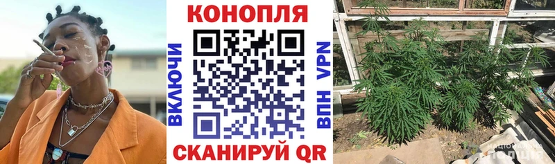 Каннабис MAZAR  где продают наркотики  Подпорожье 